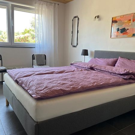 Apartment 100 Qm Im Weindorf - Balkon/Garage Aspisheim Exteriör bild