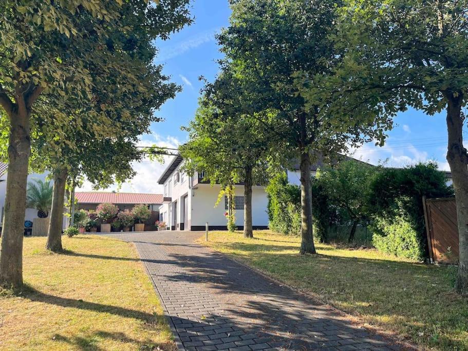 Apartment 100 Qm Im Weindorf - Balkon/Garage Aspisheim Exteriör bild