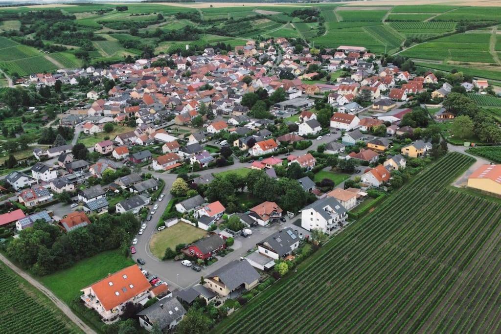 Apartment 100 Qm Im Weindorf - Balkon/Garage Aspisheim Exteriör bild