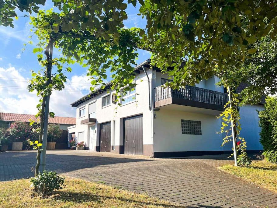 Apartment 100 Qm Im Weindorf - Balkon/Garage Aspisheim Exteriör bild