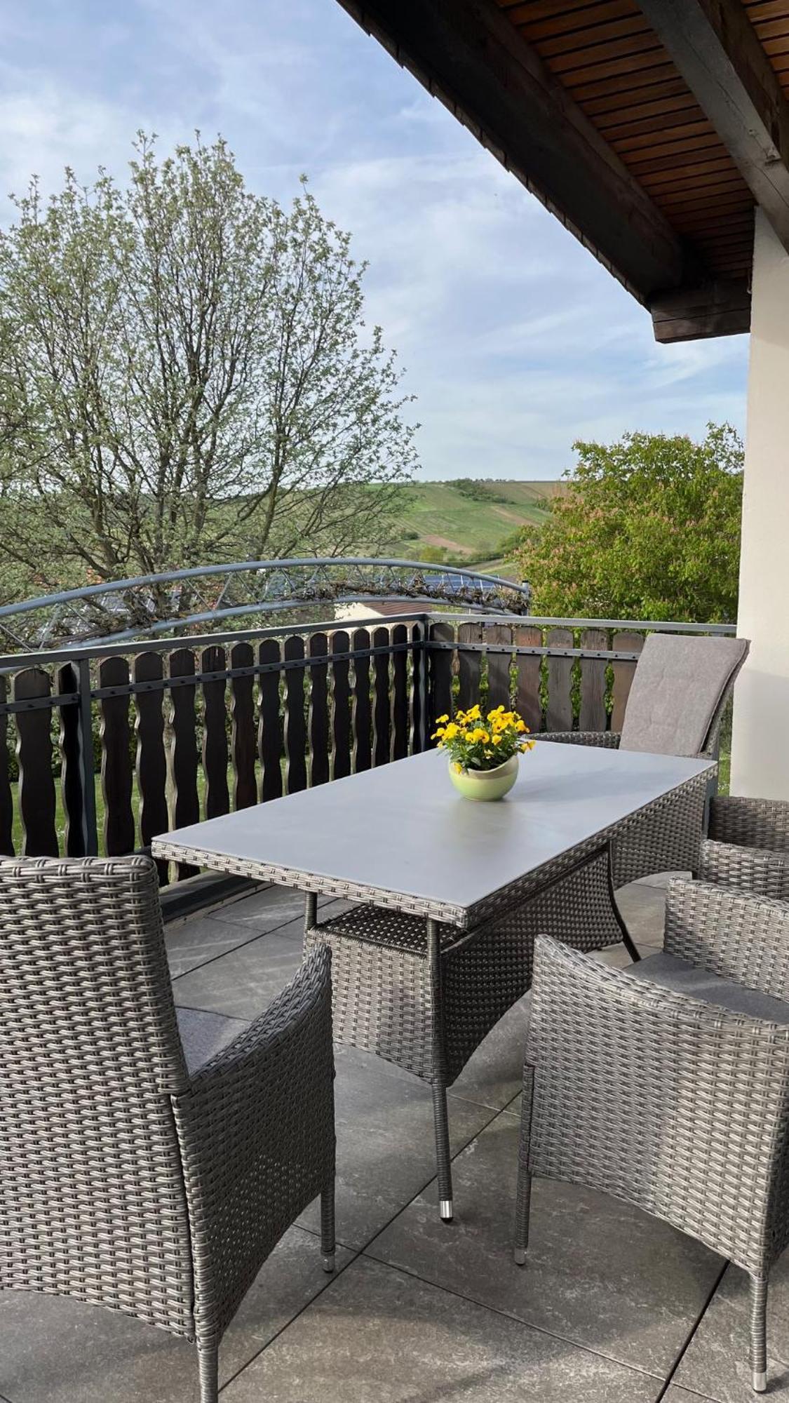 Apartment 100 Qm Im Weindorf - Balkon/Garage Aspisheim Exteriör bild